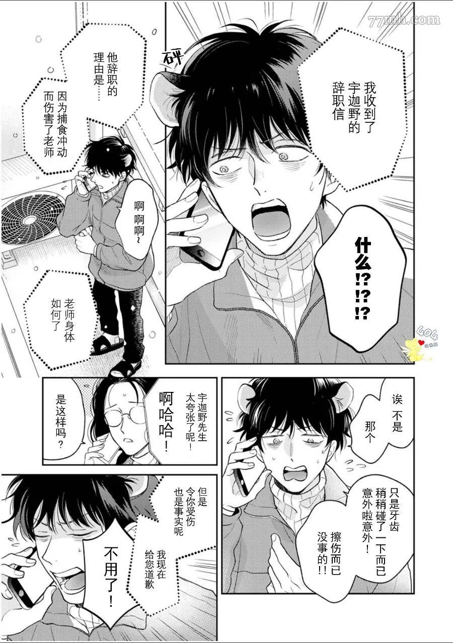 5 第4页