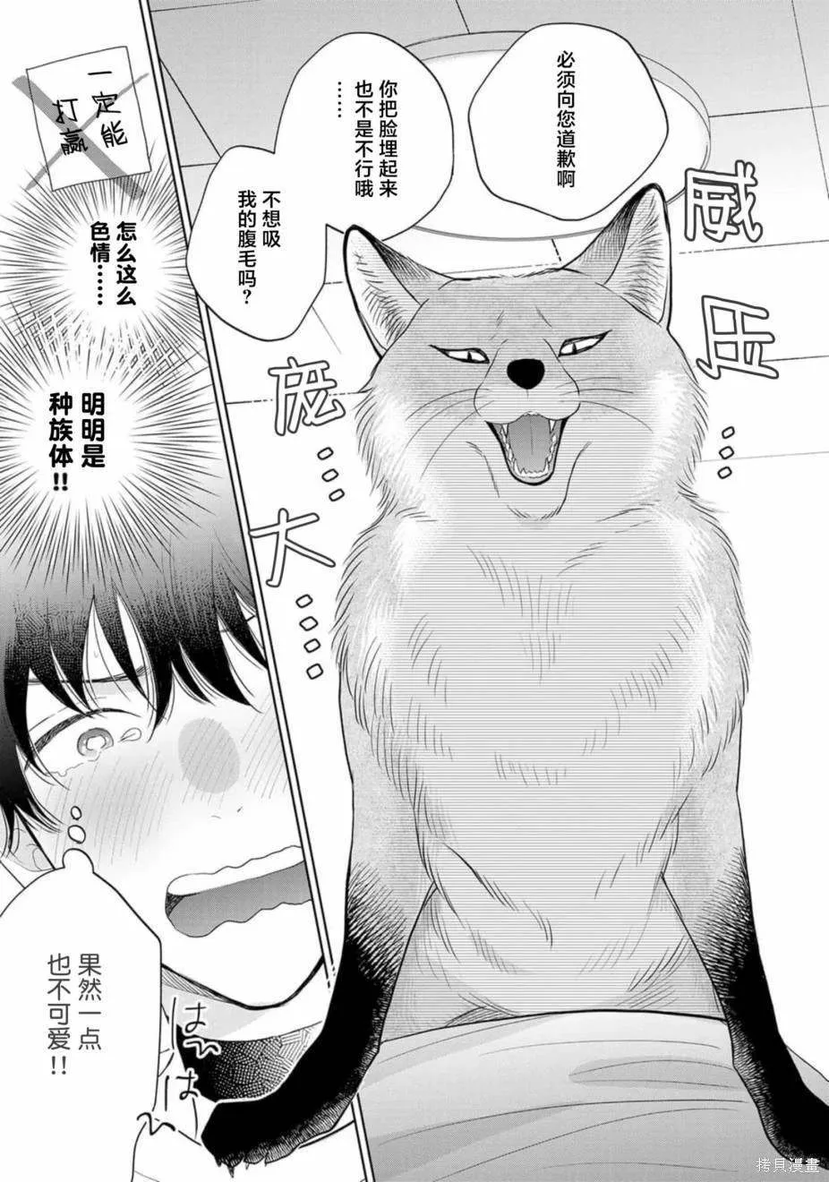 8 第13页