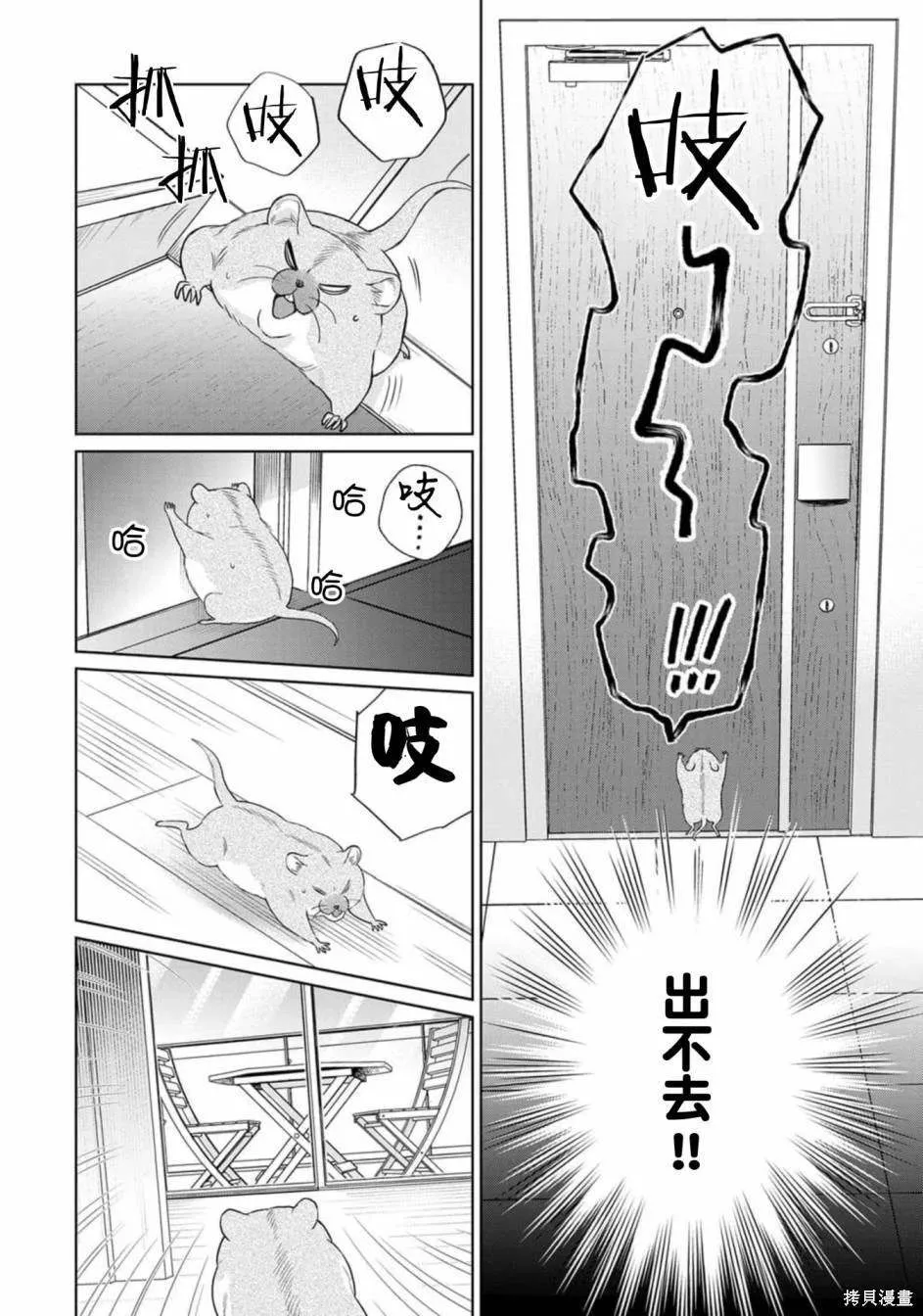 10 第42页
