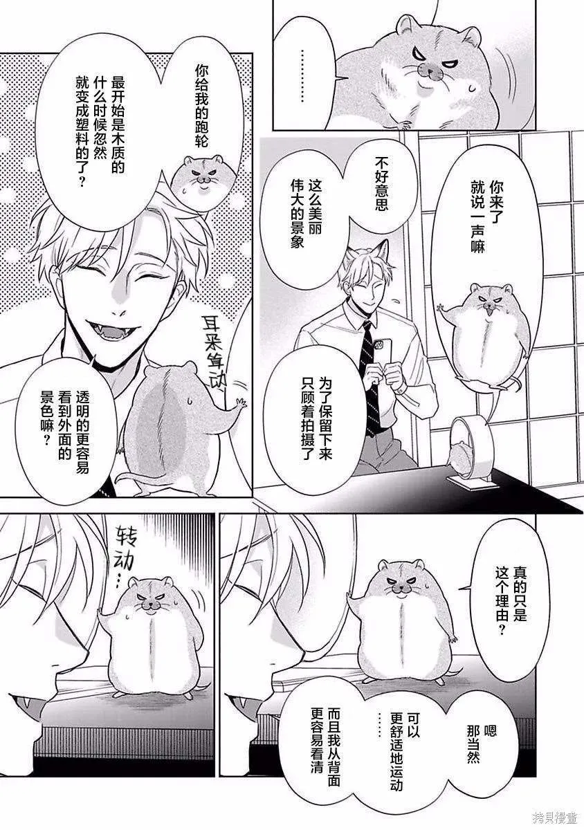 11 第10页