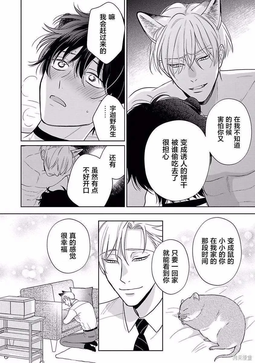 11 第25页