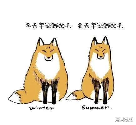 番外1 第18页