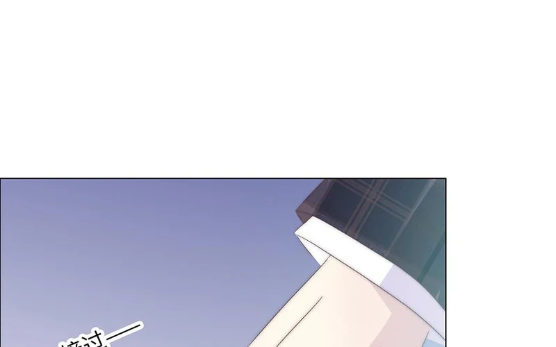 第13话 小鸟的妖术 第11页