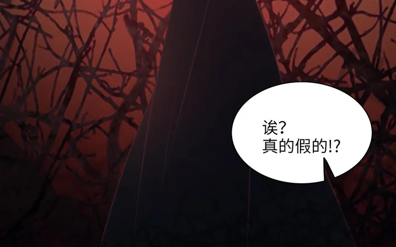 第13话 小鸟的妖术 第79页