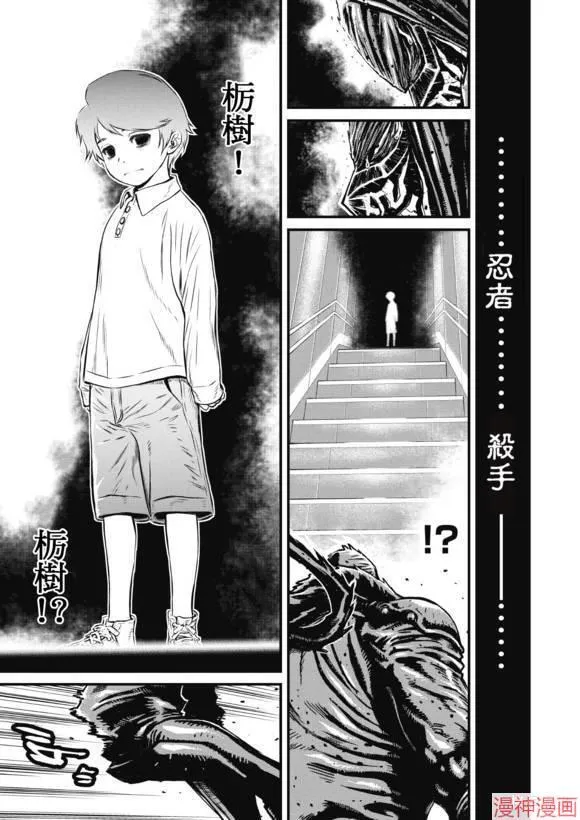 13.3卷 第11页