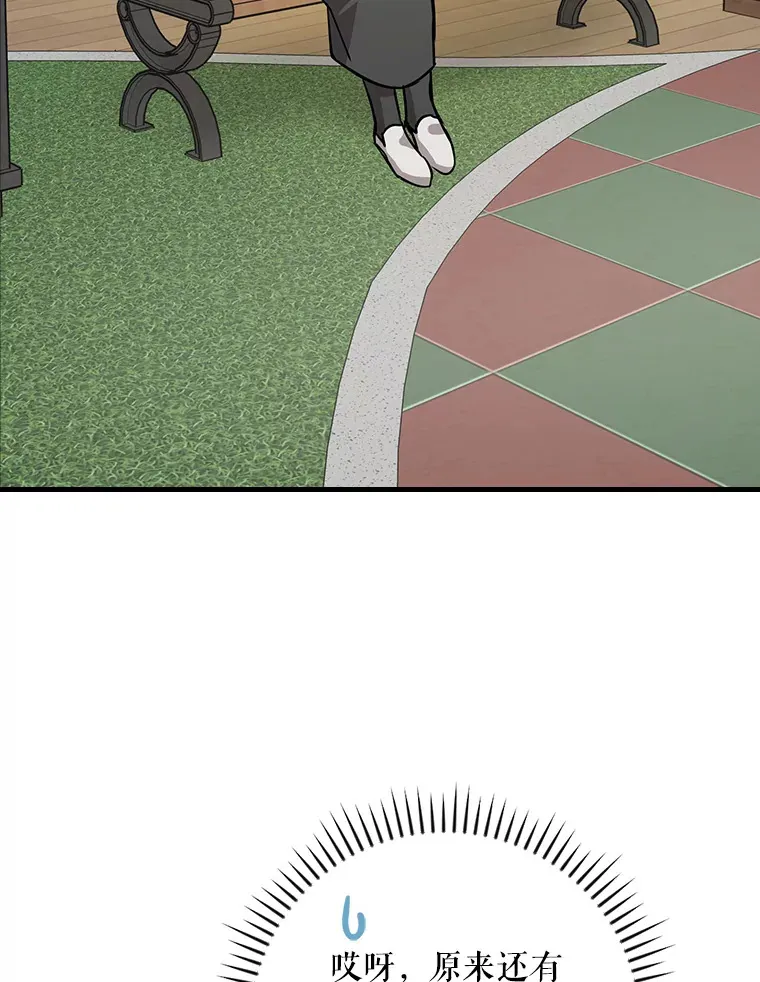 13.分别 第31页