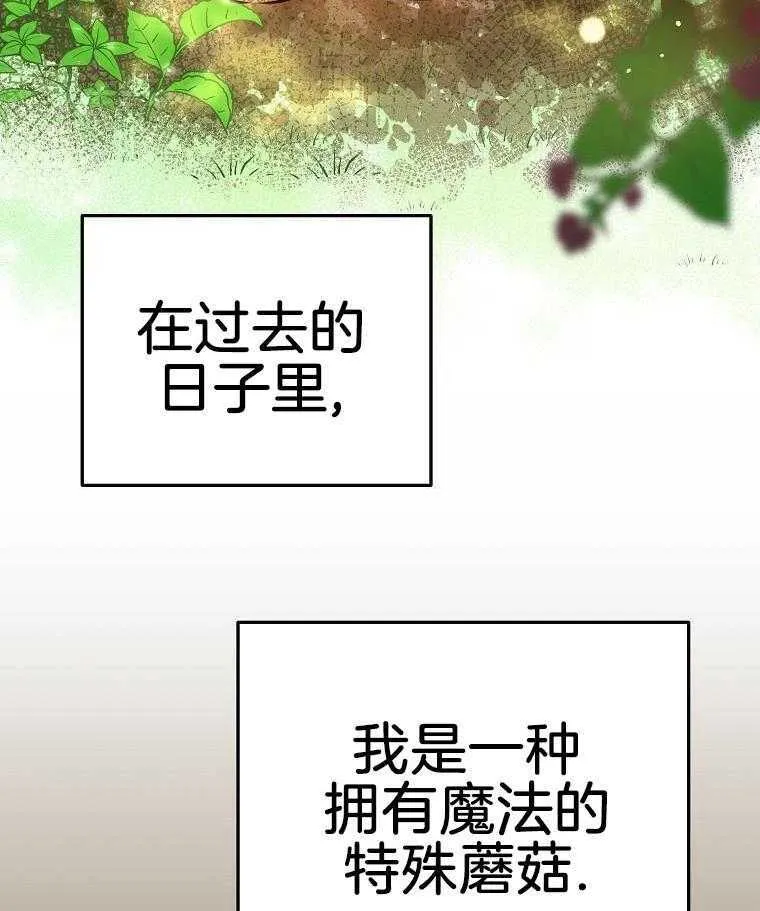 45_见到导演 第34页