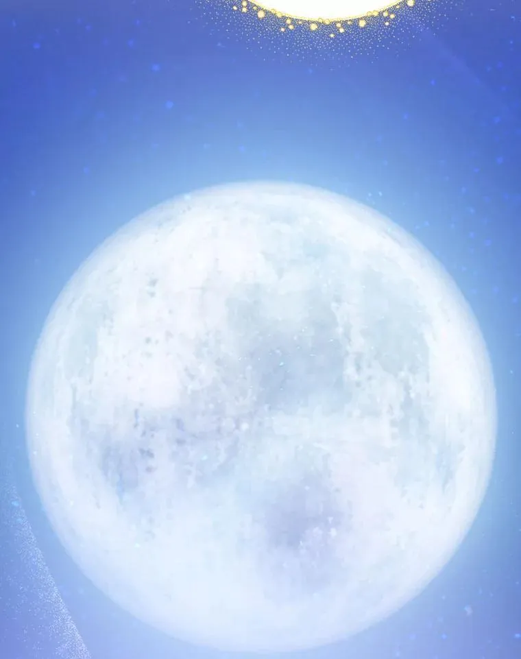 24.扮演巫师 第112页