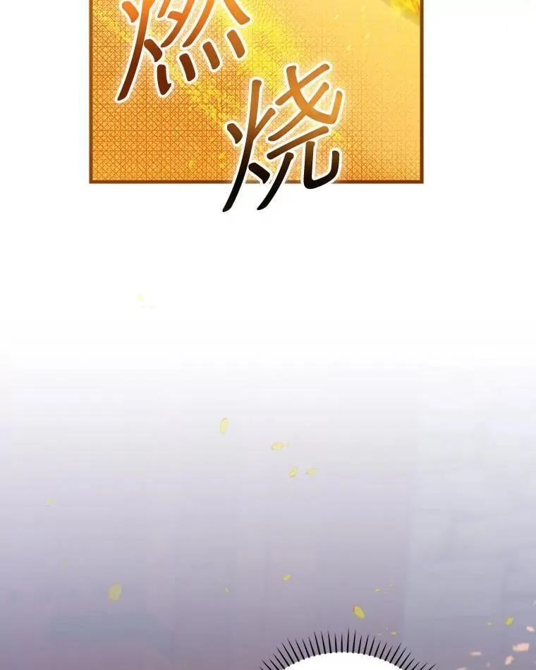 24.扮演巫师 第146页