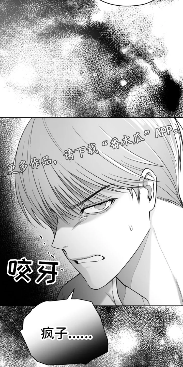 第4章：疯子 第29页