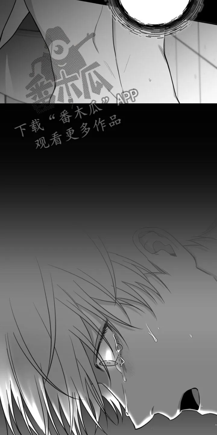 第9章：清醒 第19页