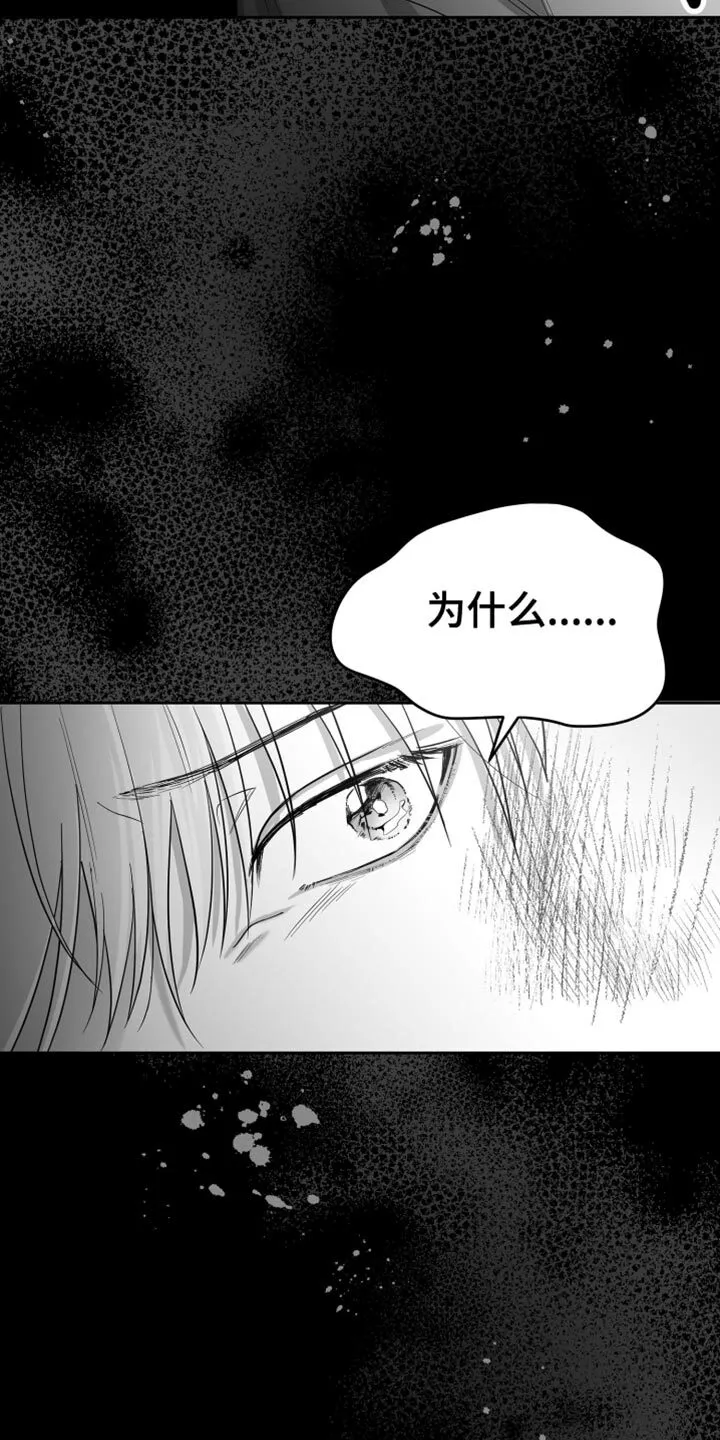 第19章：要打几下？ 第41页