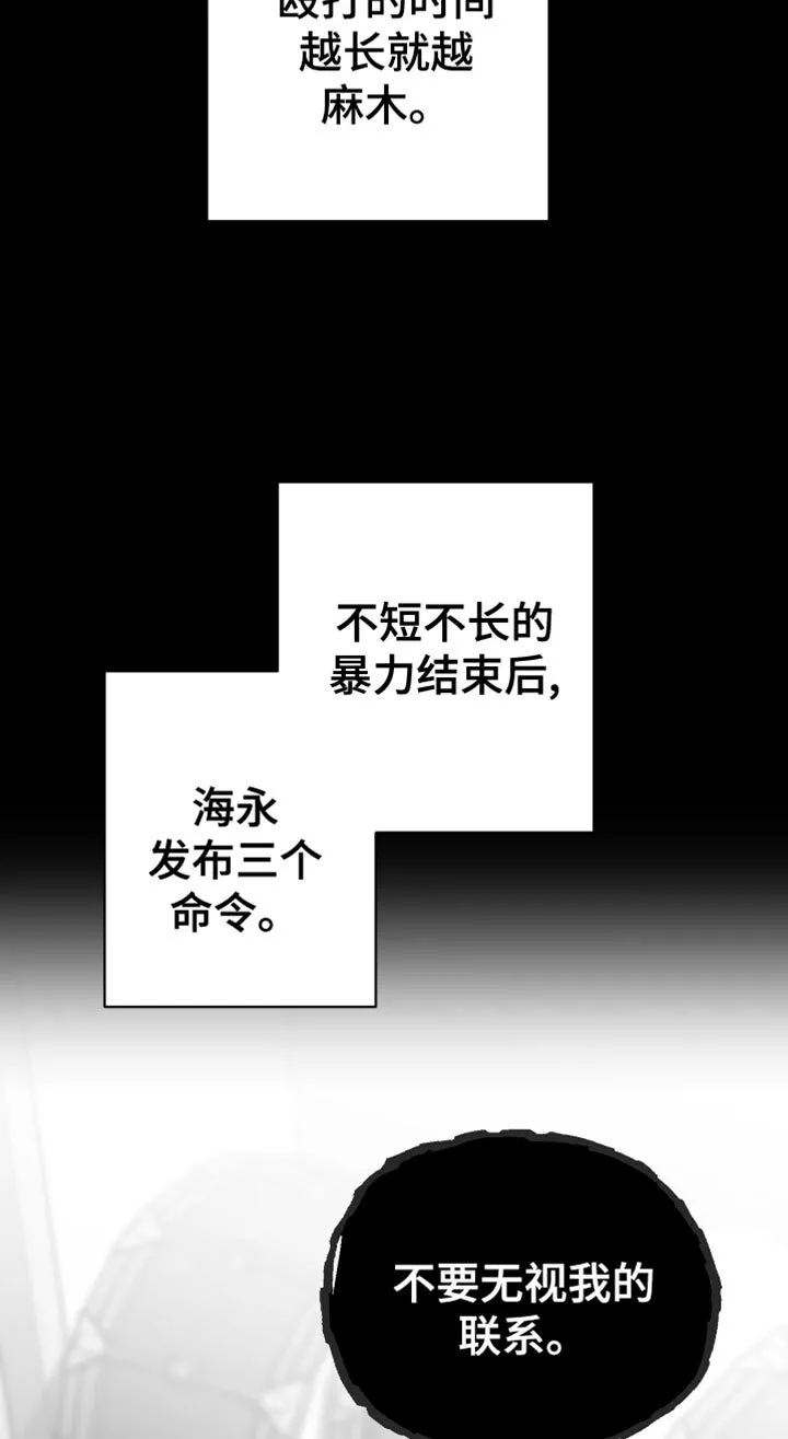 第20章：三个命令 第18页