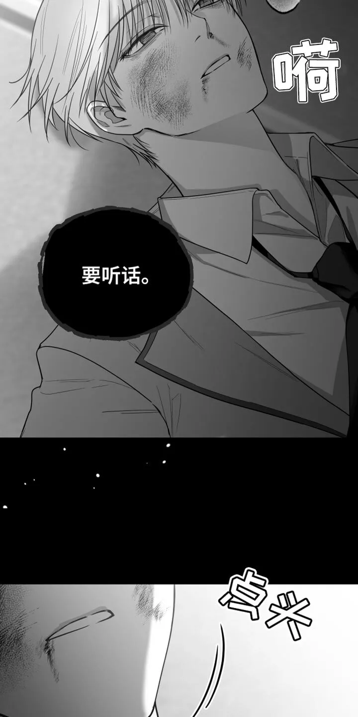第20章：三个命令 第21页