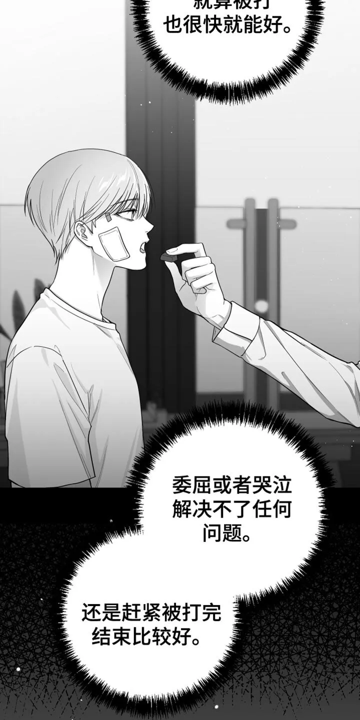 第20章：三个命令 第26页