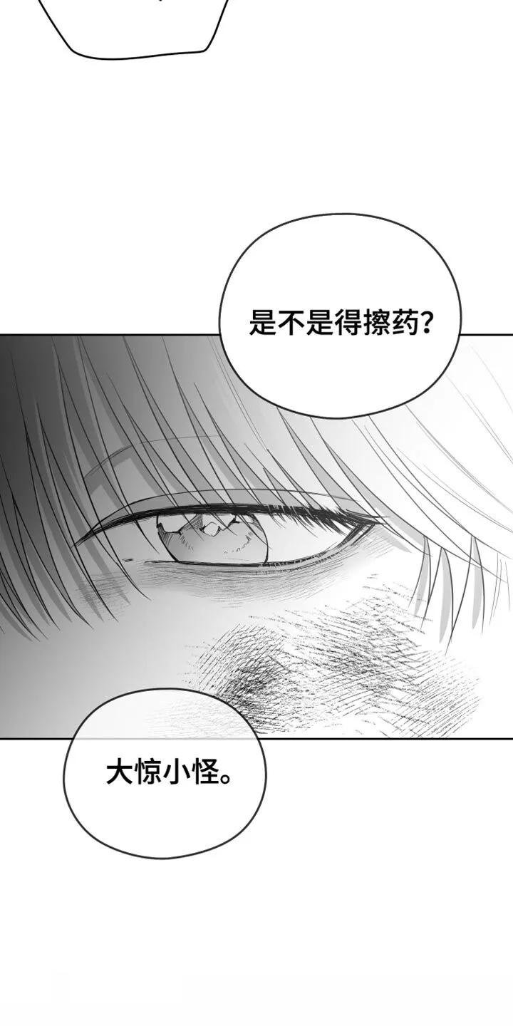 第21章：太可惜了 第11页