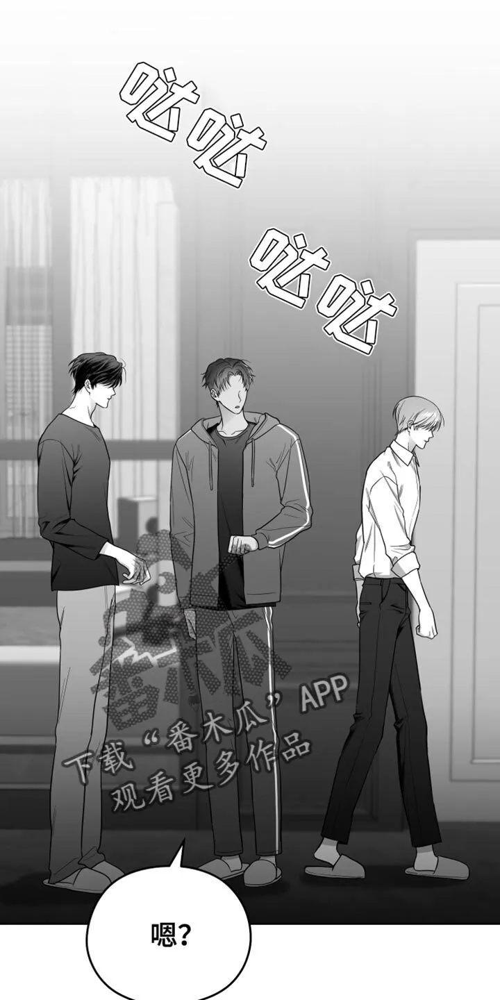第21章：太可惜了 第12页
