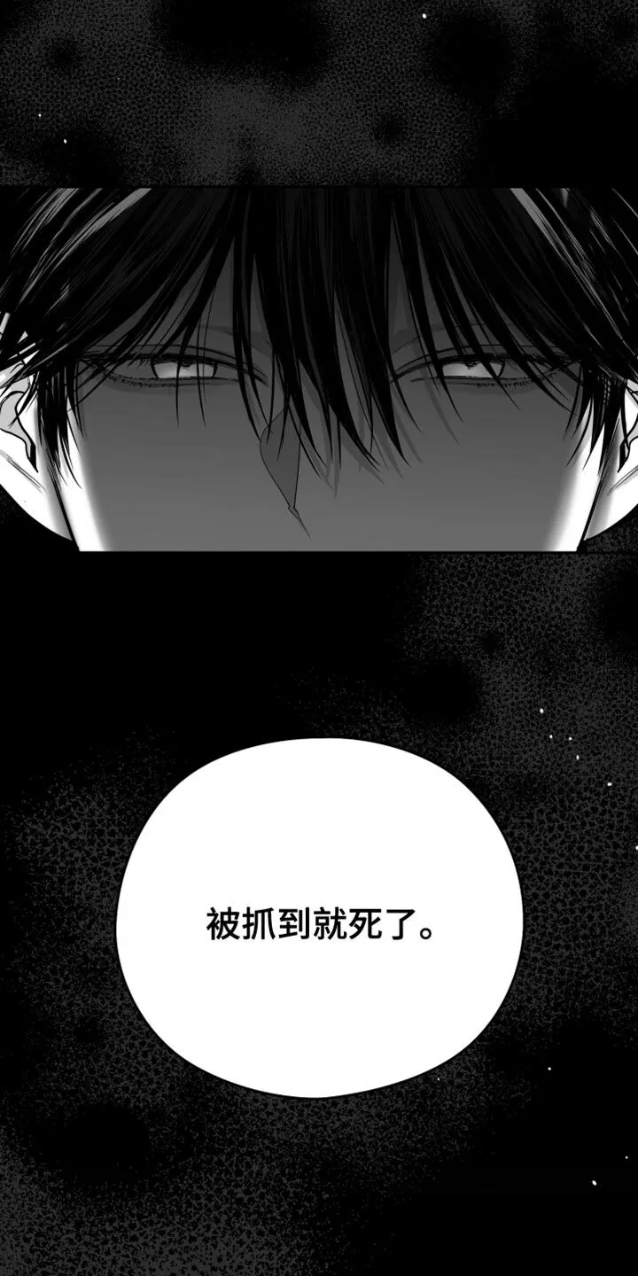 第26章：绝对不能被发现 第5页
