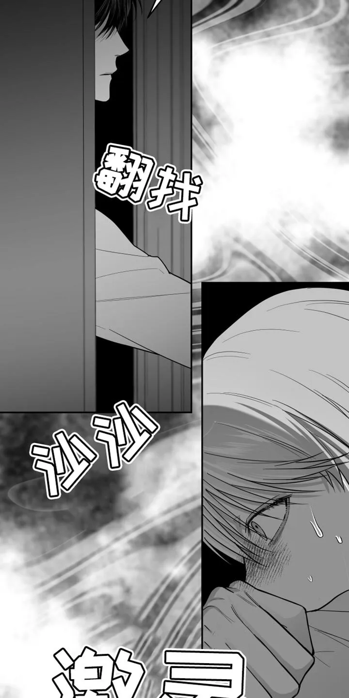 第27章：抓住了 第13页