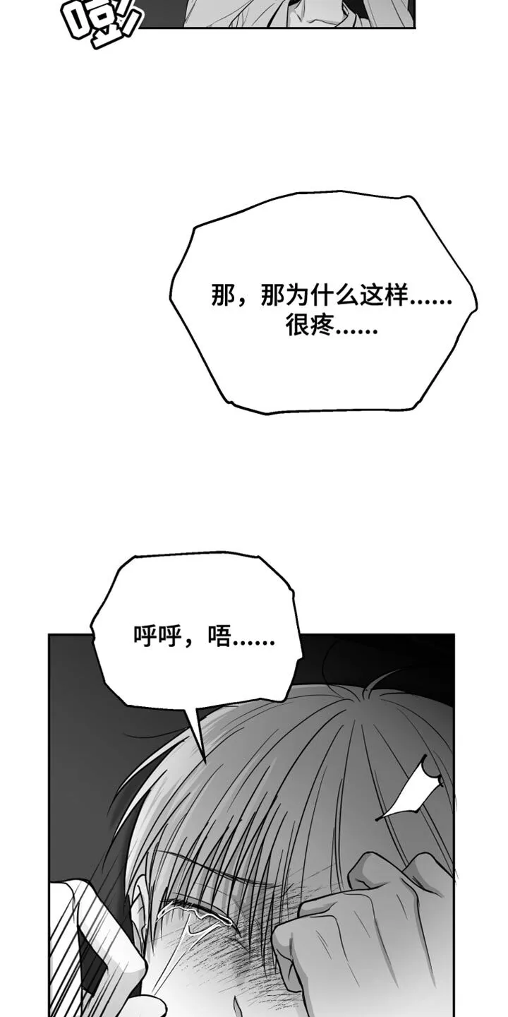 第29章：你喜欢我吧？ 第18页