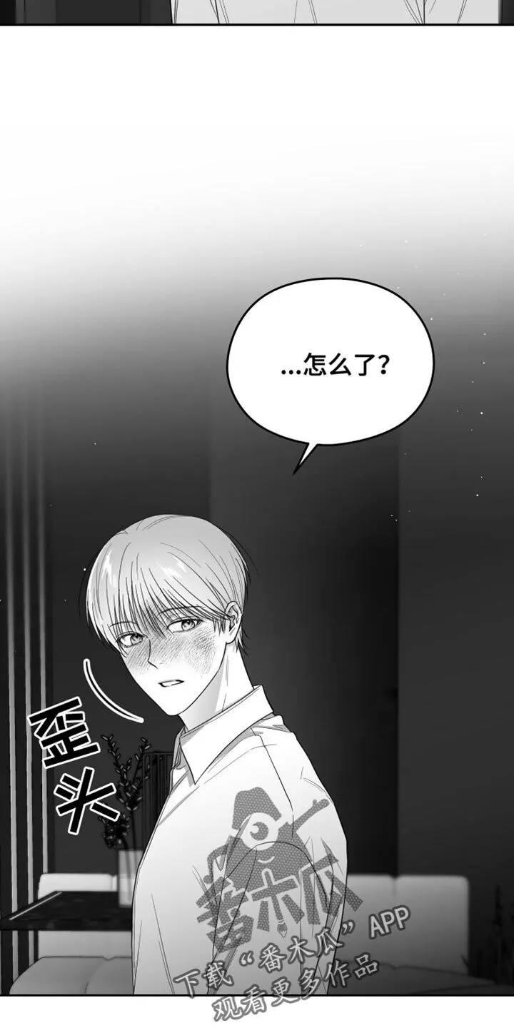 第35章：照片 第10页