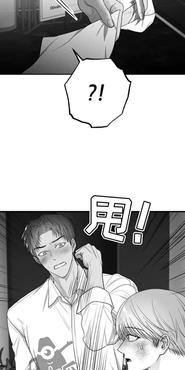 第35章：照片 第12页