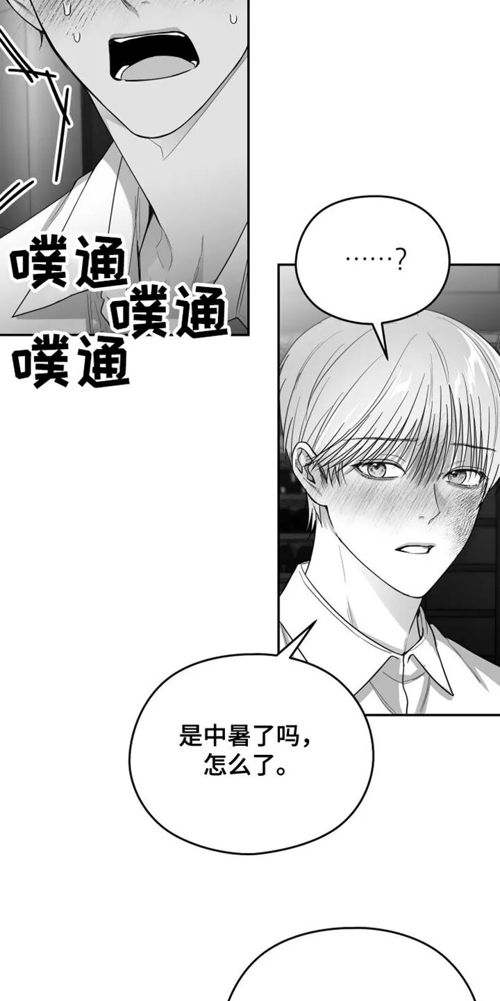 第35章：照片 第14页
