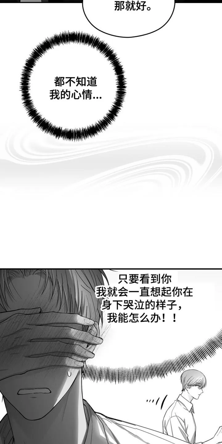 第35章：照片 第16页