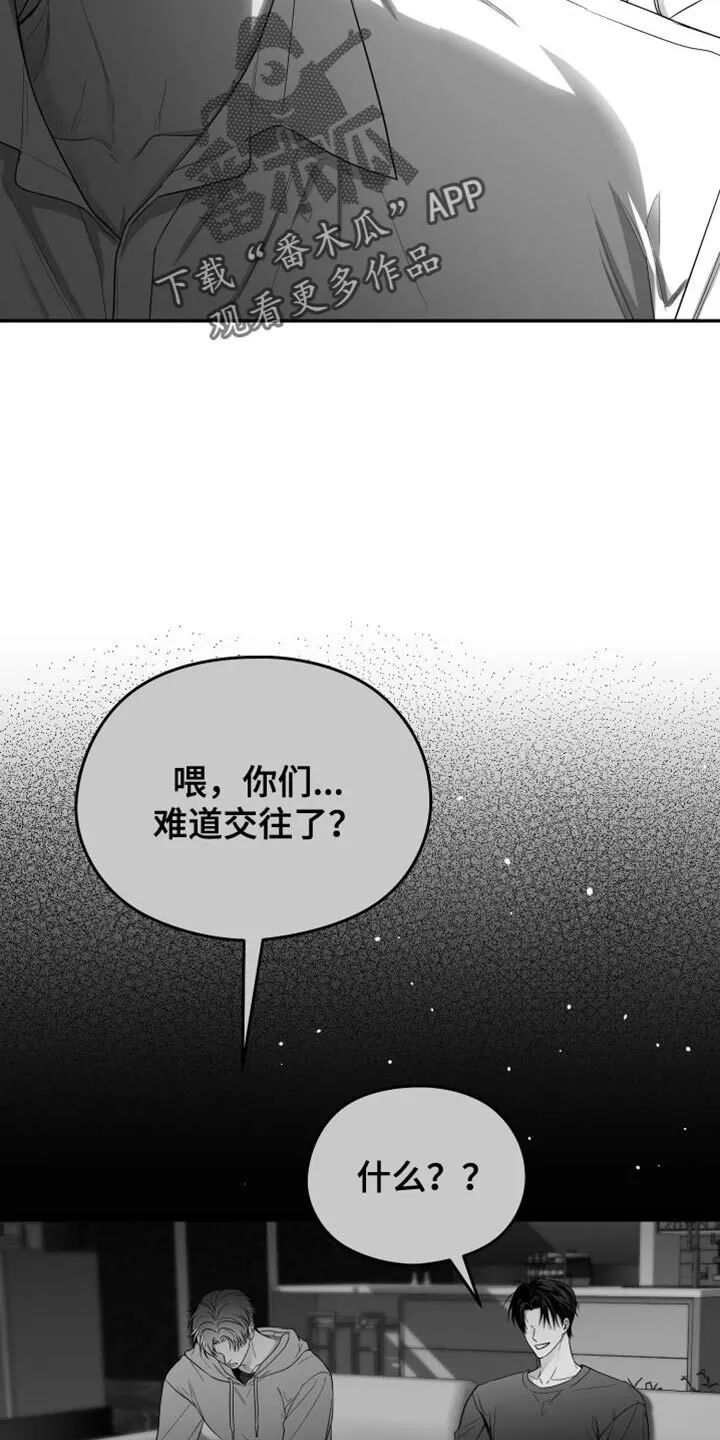 第35章：照片 第17页