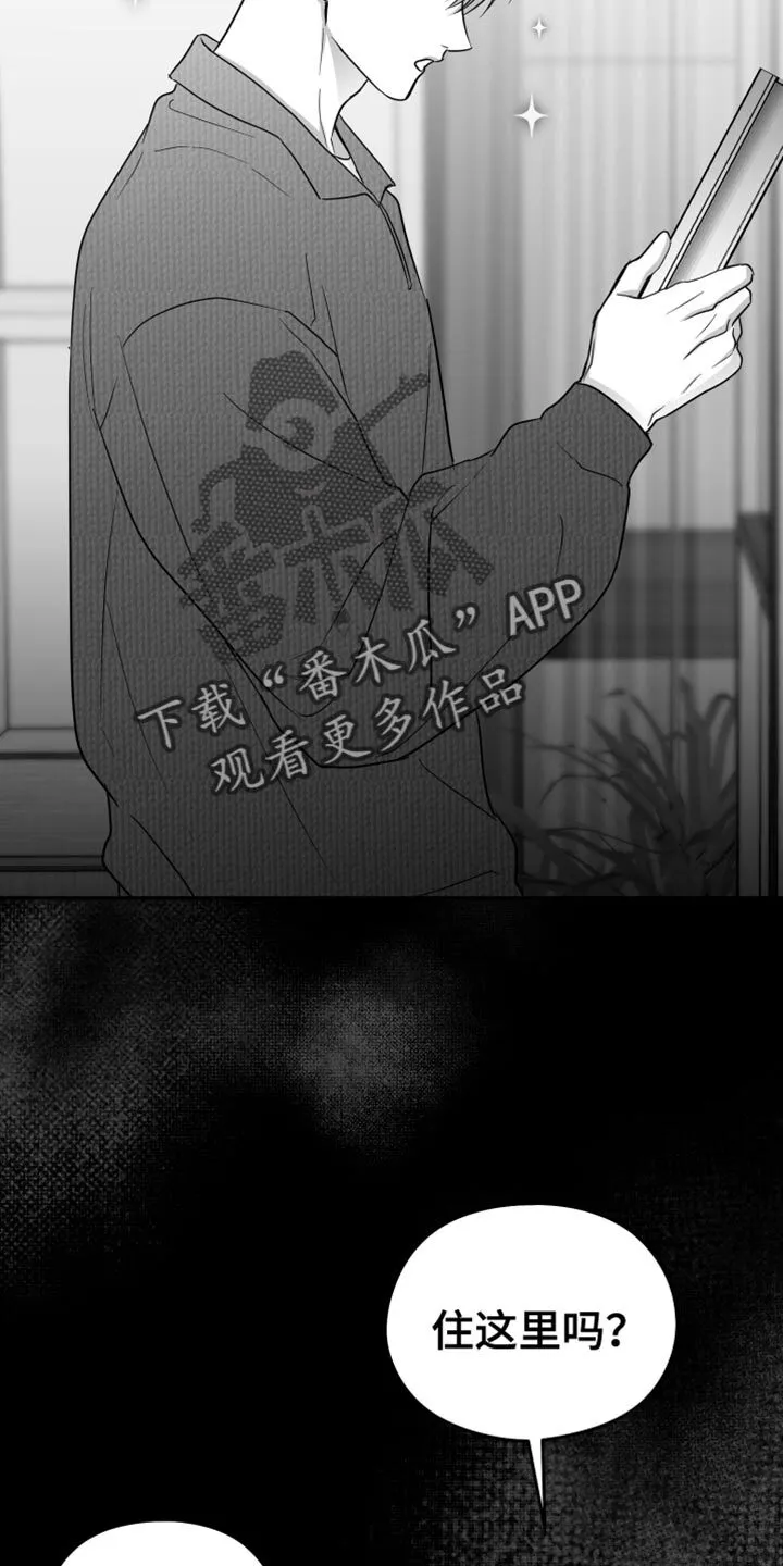 第68章：【第二季】不能继续了 第14页