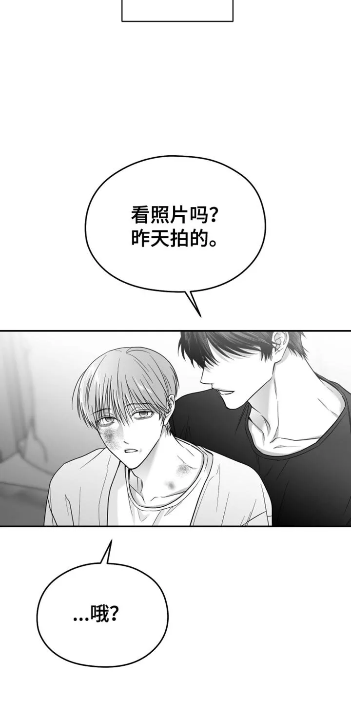 第68章：【第二季】不能继续了 第23页