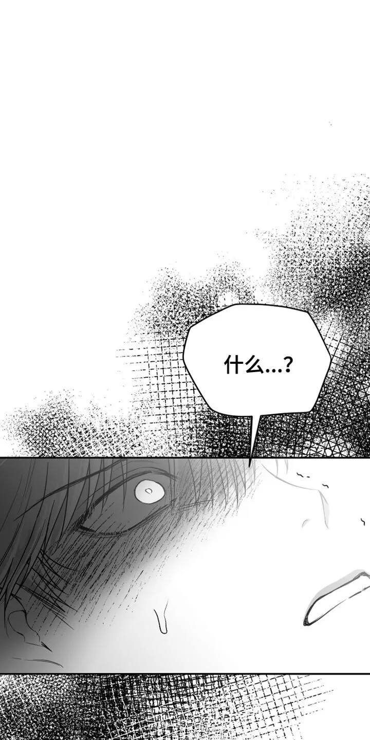 第73章：【第三季】确认结束了 第1页