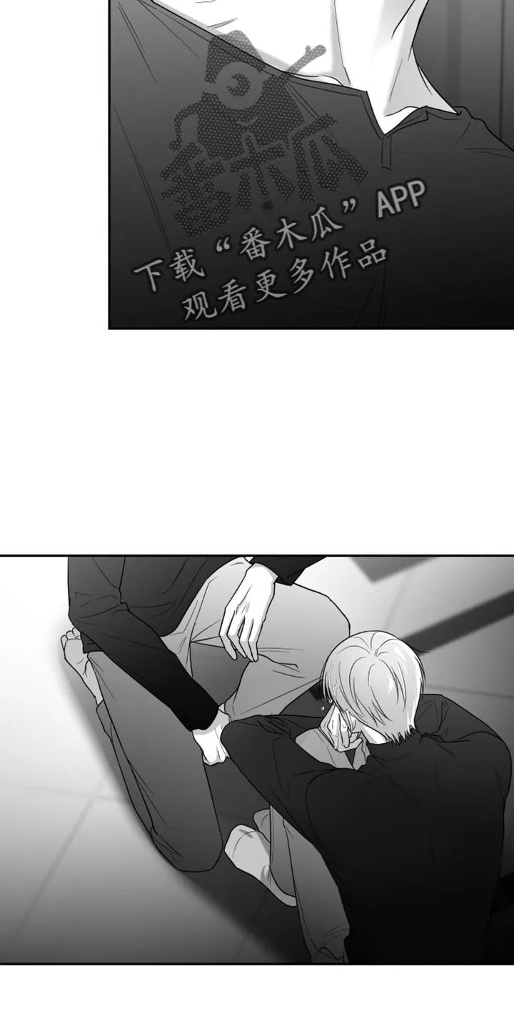 第82章：【第三季】好陌生 第12页