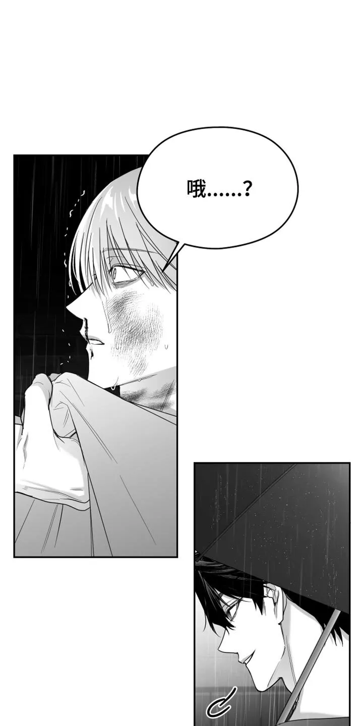 第94章：【第三季】怎么离开的 第19页