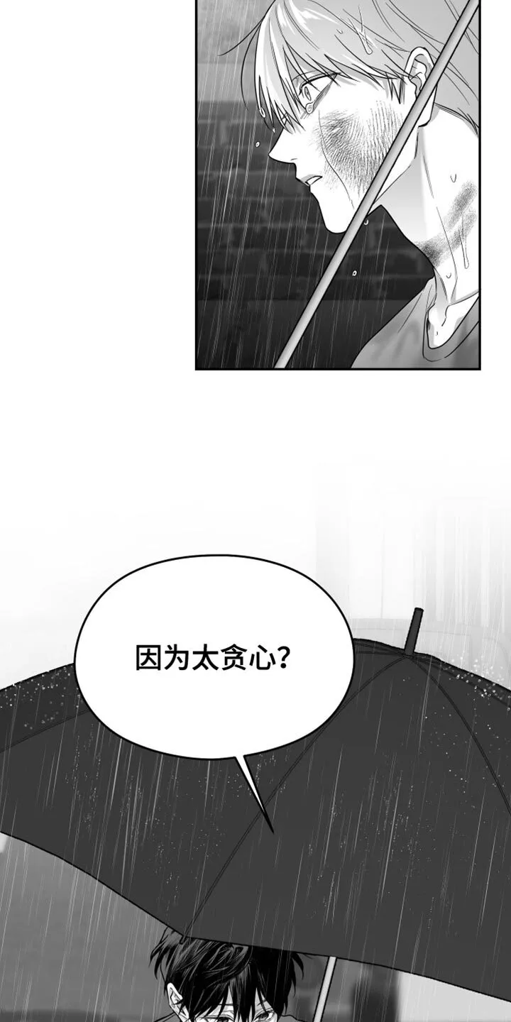 第97章：【第二季】以后不喜欢你了 第14页