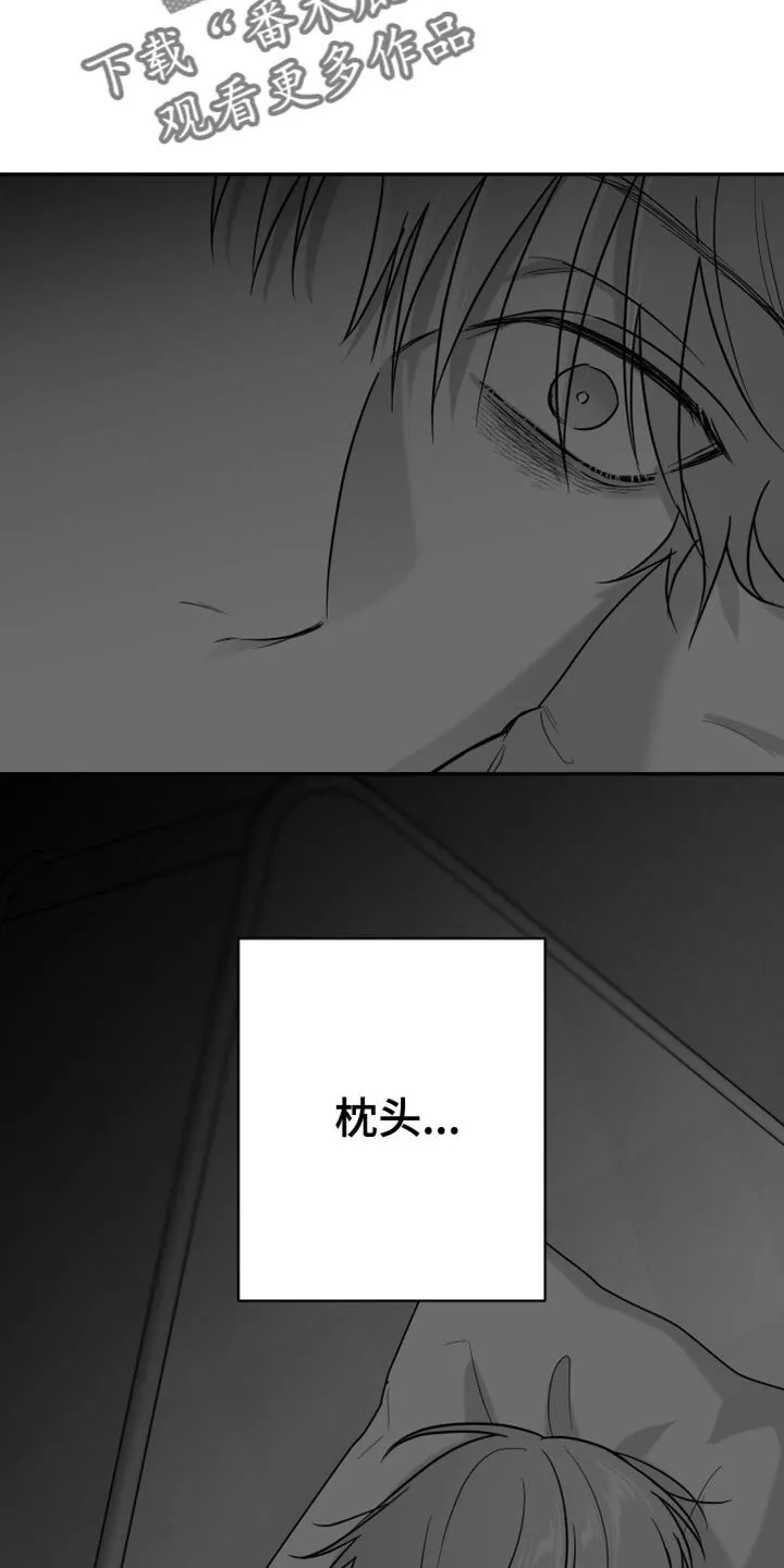 第118章：【第二季】枕头 第29页