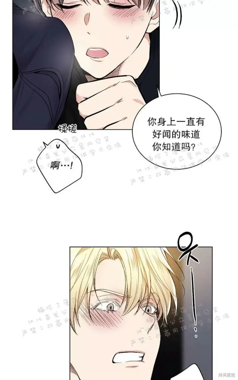 第25话 第31页