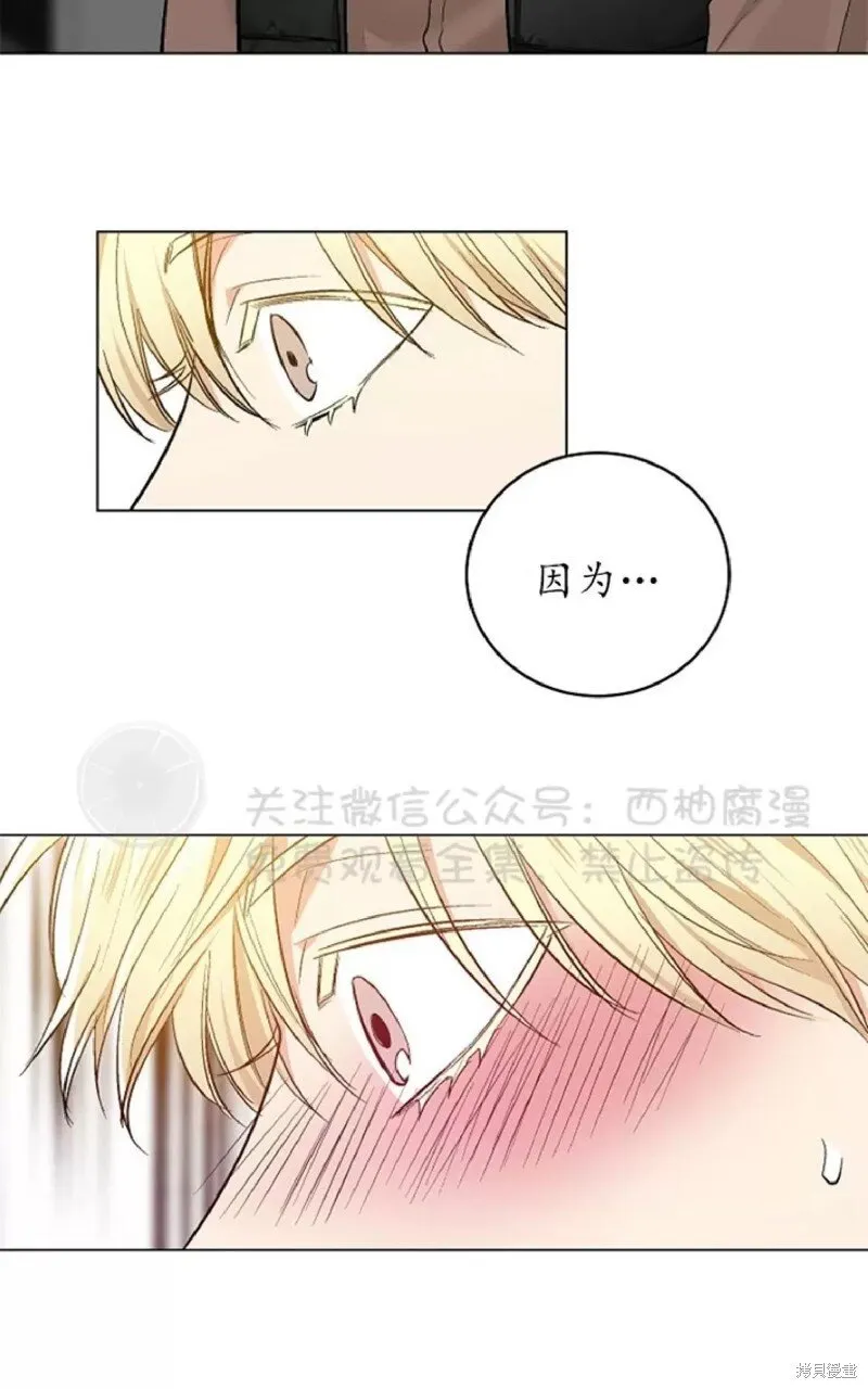 第33话 第52页