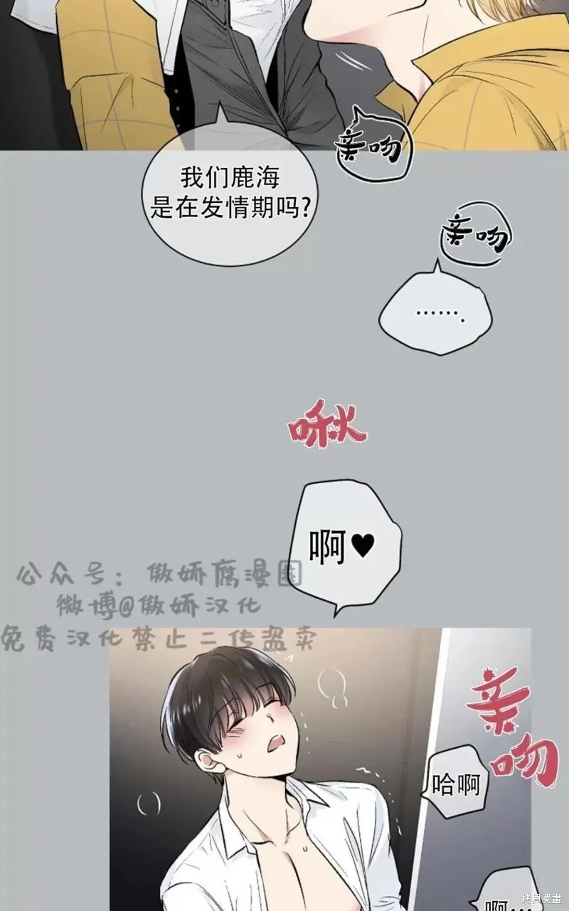 第38话 第41页