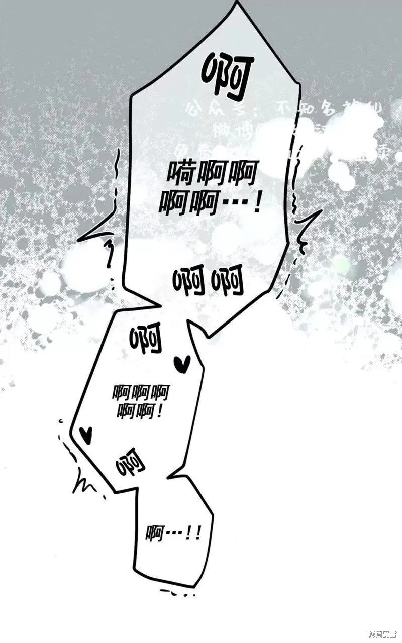 第40话 第11页