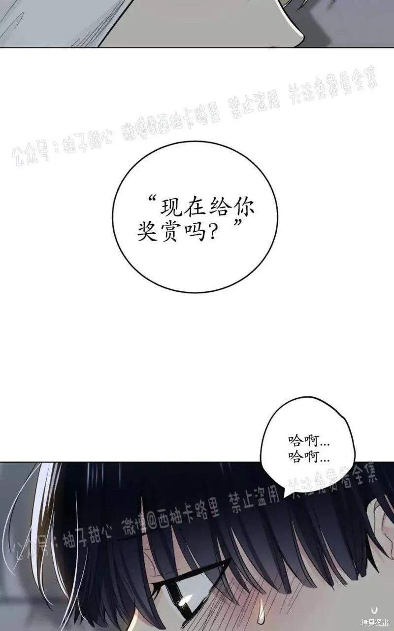 第59话番外1 第31页
