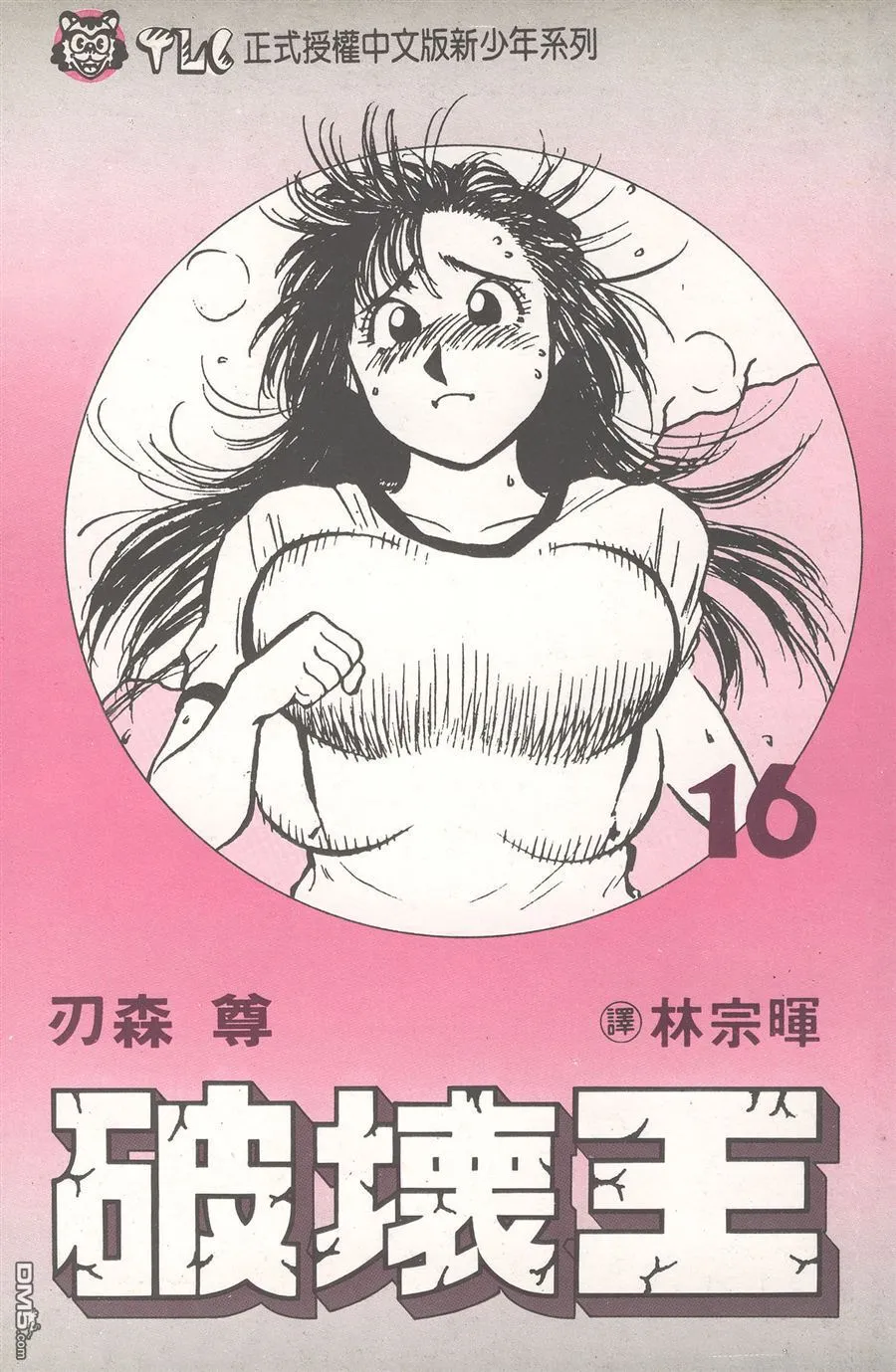 第15卷 第95页