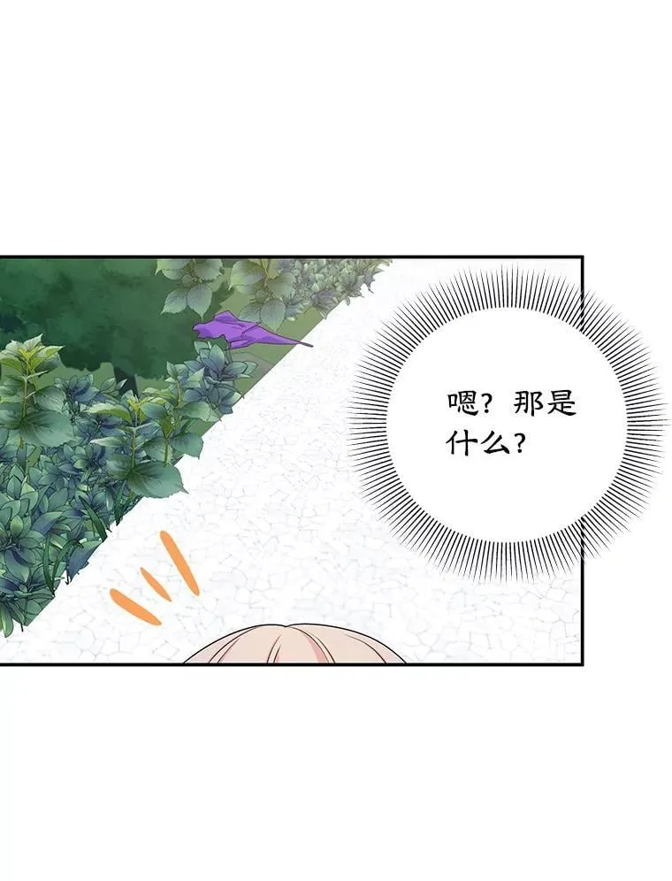 8.意外 第81页