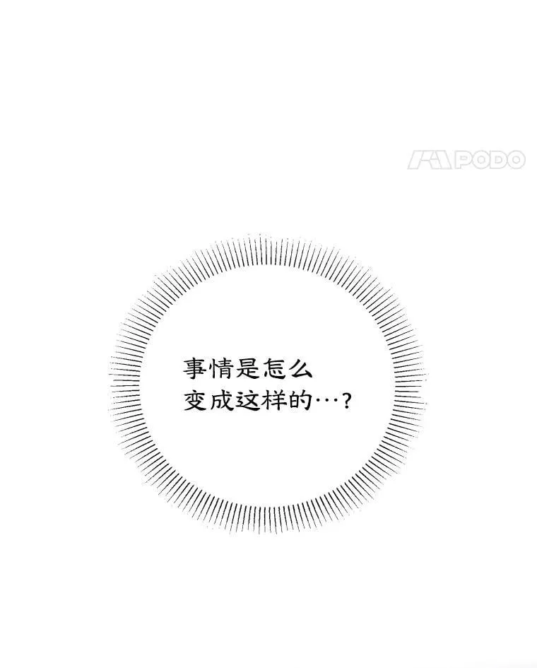 20.大公的请求 第11页