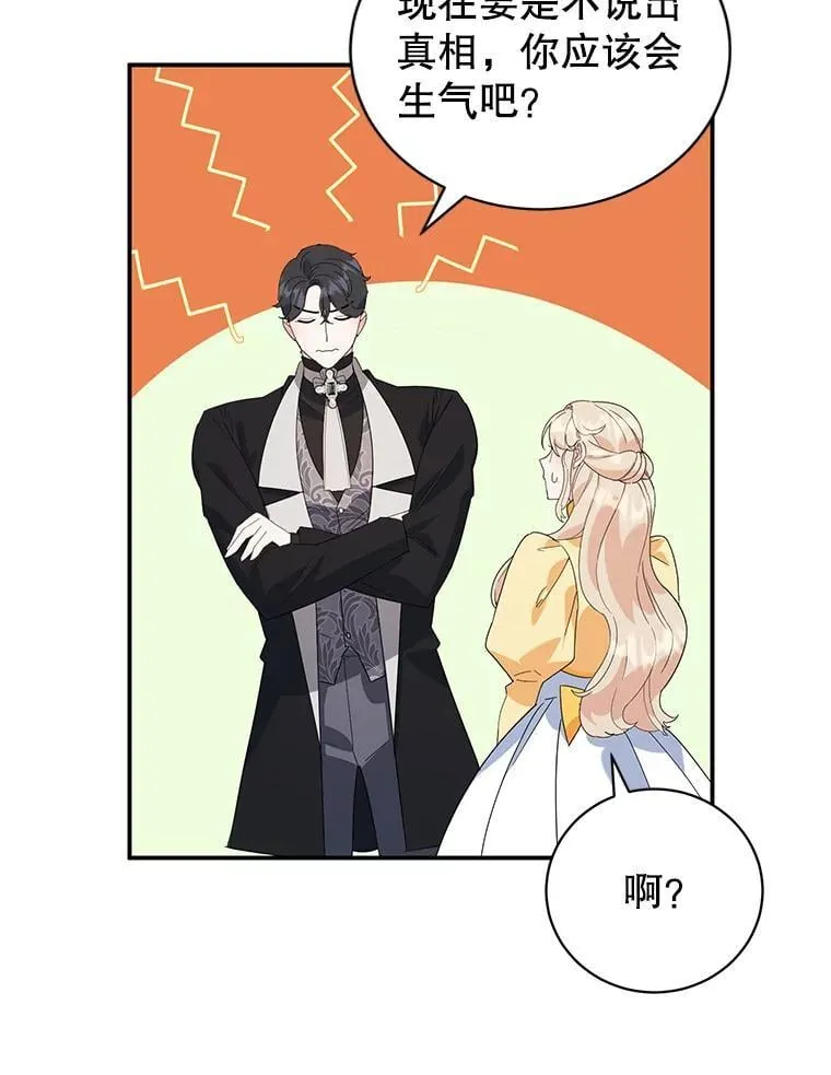 20.大公的请求 第100页