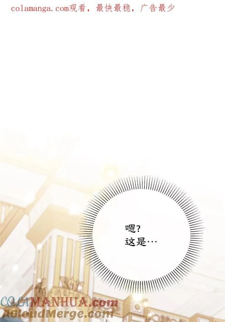 34.黑色树叶 第100页