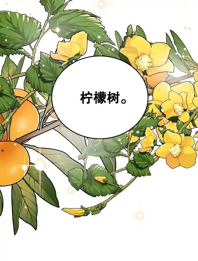 10.柠檬树 第66页