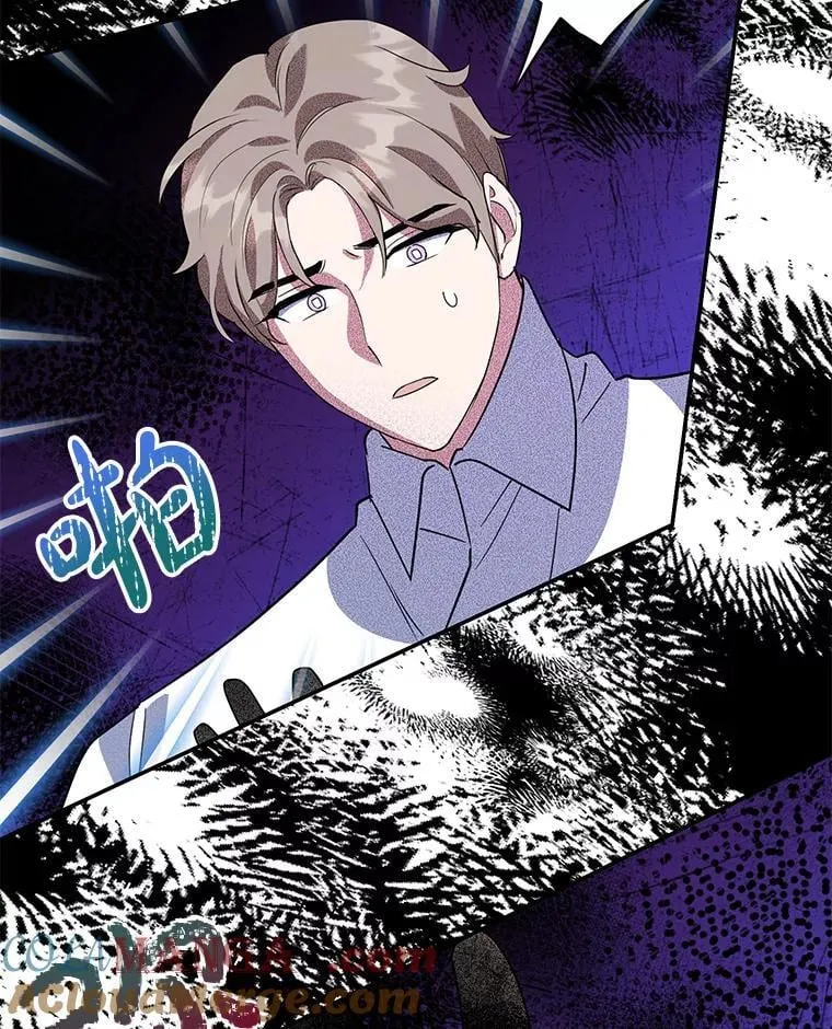 40.痊愈 第13页