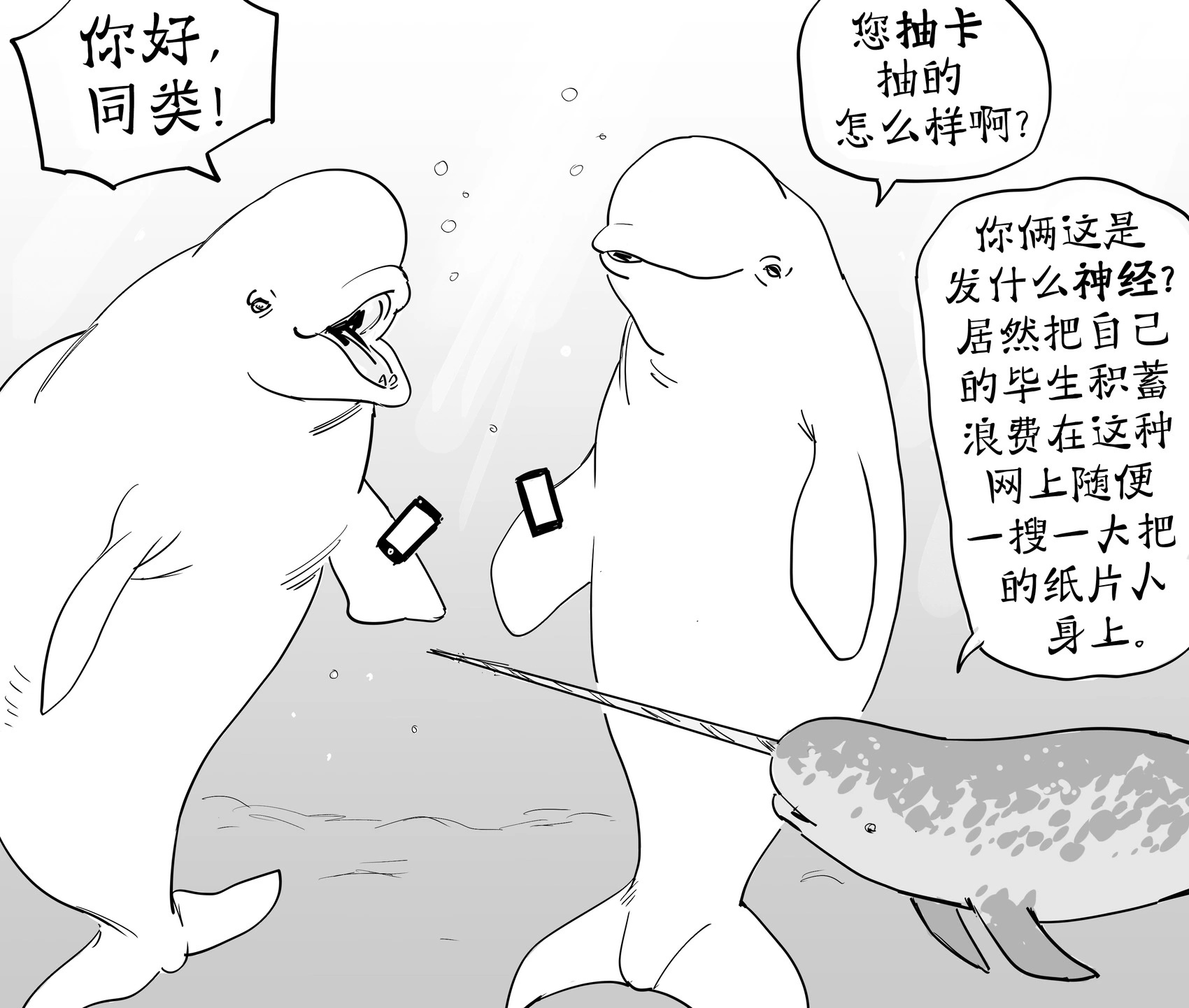 字面意思上的Whale”在聊Whale那些事 第2页