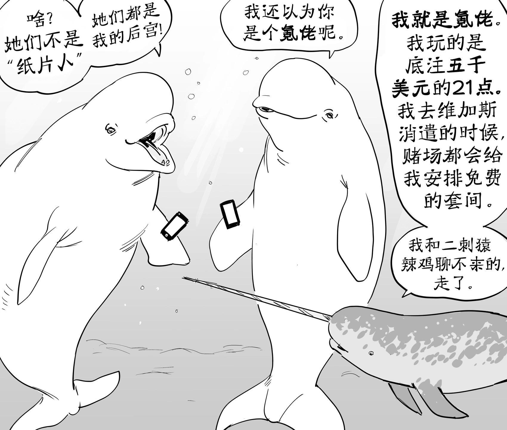 字面意思上的Whale”在聊Whale那些事 第3页